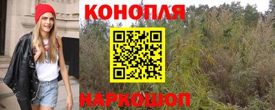спиды Новокубанск