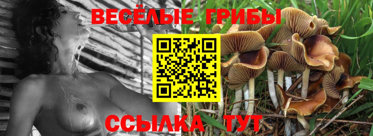 Псилоцибиновые грибы мухоморы  Псилоцибиновые грибы мицелий  Трёхгорный  Вход с VPN 